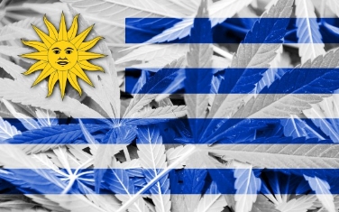 uruguayda-eczanelerde-marijuana-satisi-basliyor