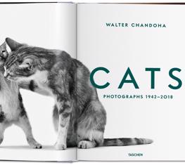 taschendan-kedi-tutkunlarina-muthis-bir-kitap-"walter-chandoha-cats-photographs-1942–2018"